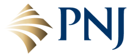 PNJ Logo