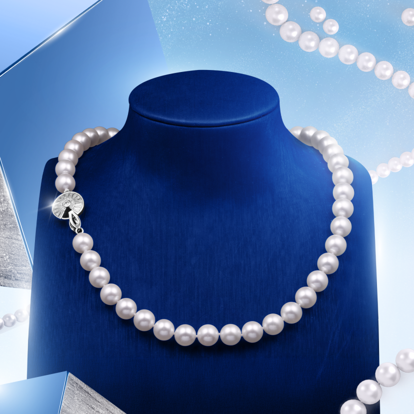 new-product-line